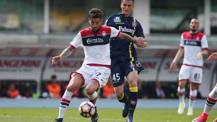 Crotone a testa alta, Nicola: