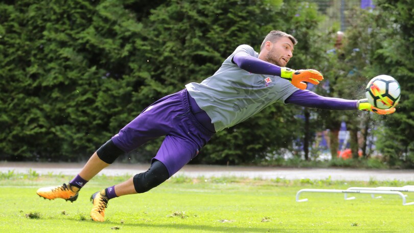 Serie A Fiorentina, Sportiello promette: «Sarà una grande stagione»
