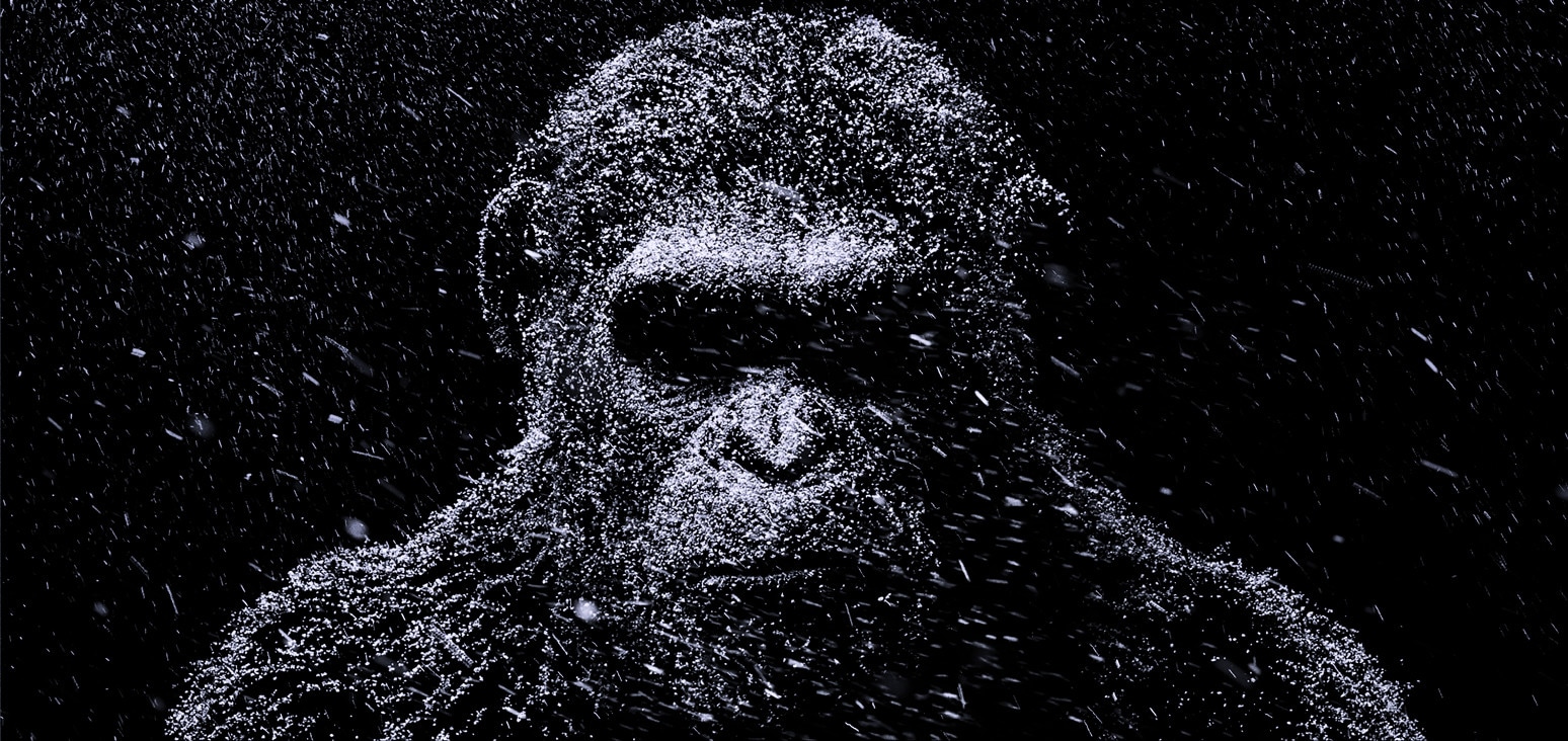 Cesare vs uomo è The War - Planet of the Apes