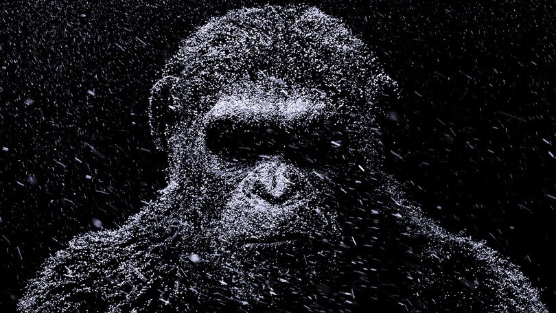 Cesare vs uomo è The War - Planet of the Apes