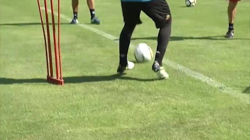 Napoli, Reina vicino al rinnovo