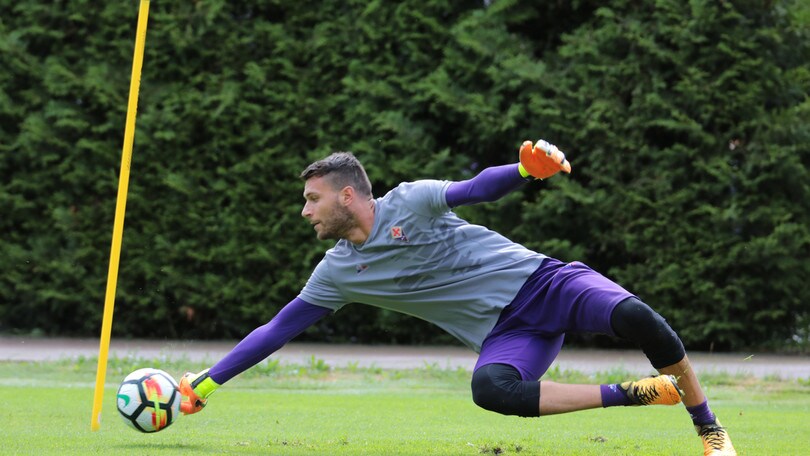 Serie A Fiorentina, Sportiello: «Ora voglio voltare pagina»