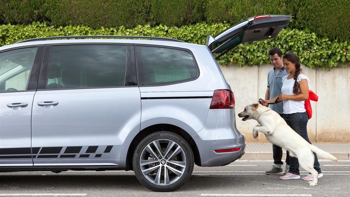 Vacanze col cane in auto? 11 consigli per viaggiare tranquilli