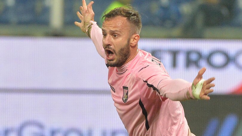 Napoli, Milik out. Gilardino si propone