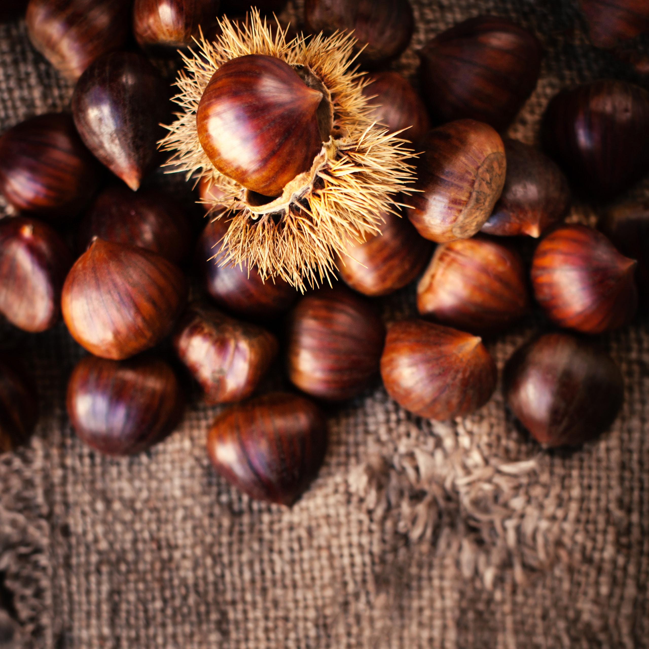 I sapori e i profumi dell'autunno