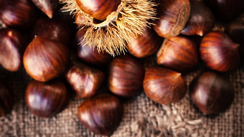 I sapori e i profumi dell'autunno