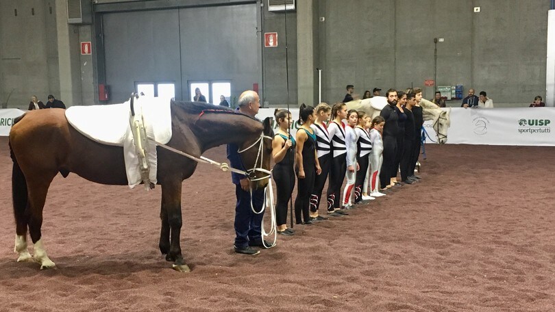 Nei campi in gomma riciclata e maggior benessere per cavalli e cavalieri