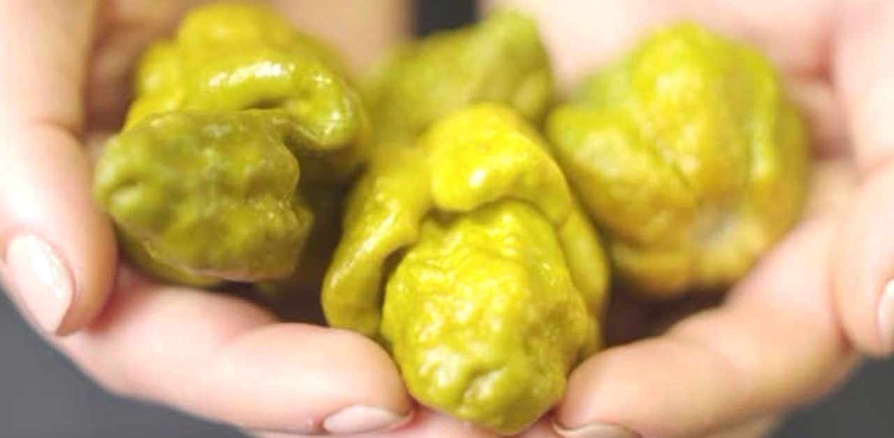 Pepper X: il nuovo re del piccante
