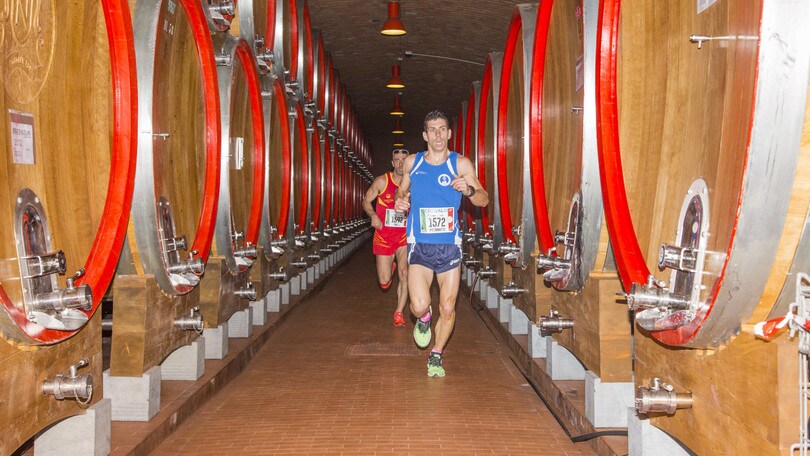 Valtellina Wine Trail, la corsa off road tra le cantine