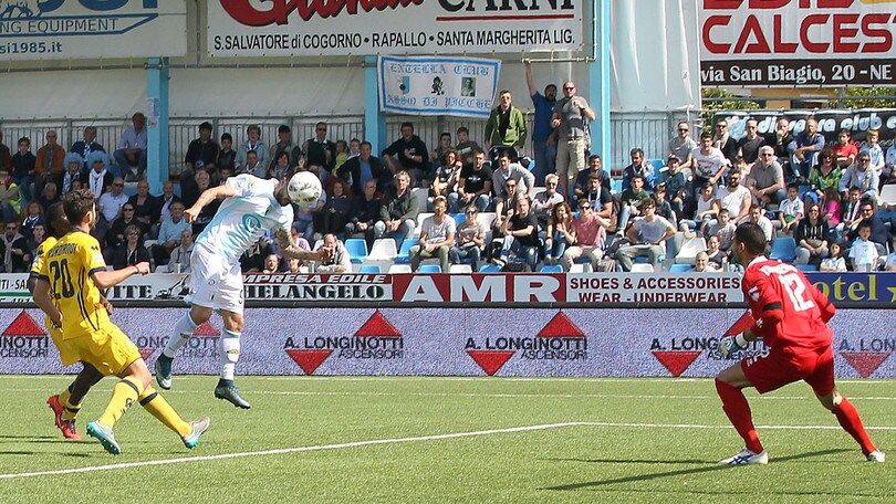 Serie C, il Modena è stato escluso dal campionato