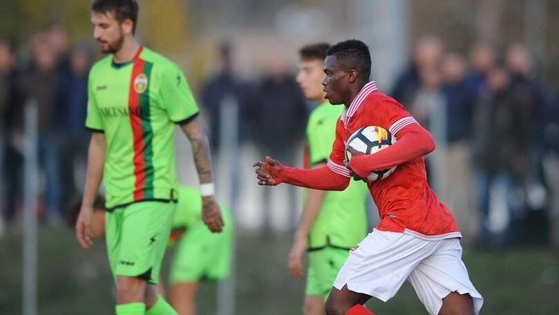 Serie B, 1-1 nel derby primavera tra Unicusano Ternana e Perugia