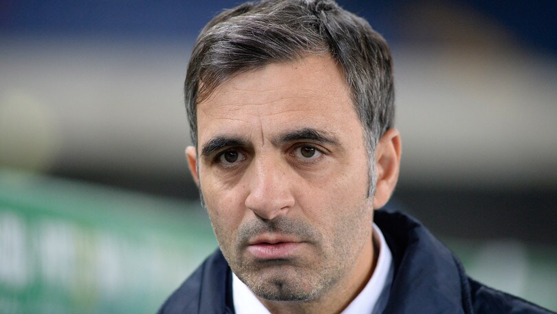 Serie A Verona, Pecchia: «C'è rabbia per il gol irregolare»
