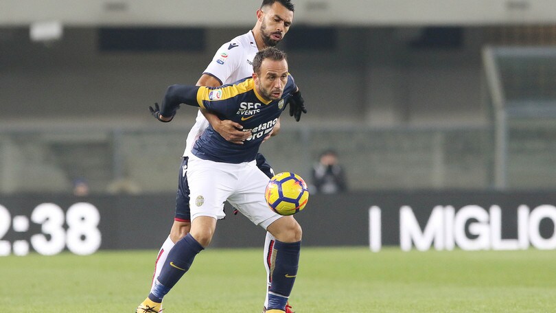 Serie A Bologna, Donadoni ritrova Gonzalez