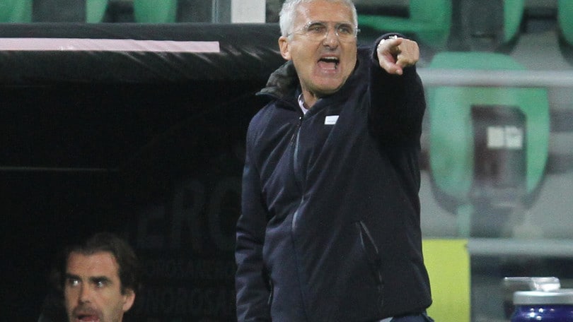 Coppa Italia Cittadella, Venturato: «Servirà l'impresa con la Lazio»