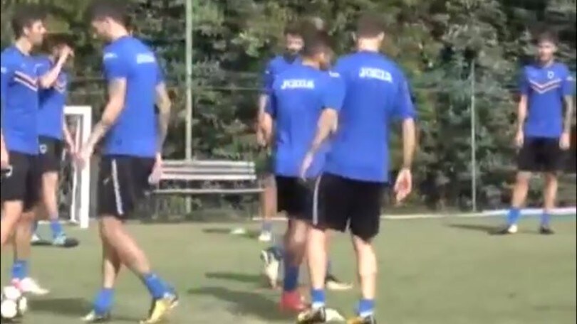 Ferrero: "Al Napoli piace Torreira"