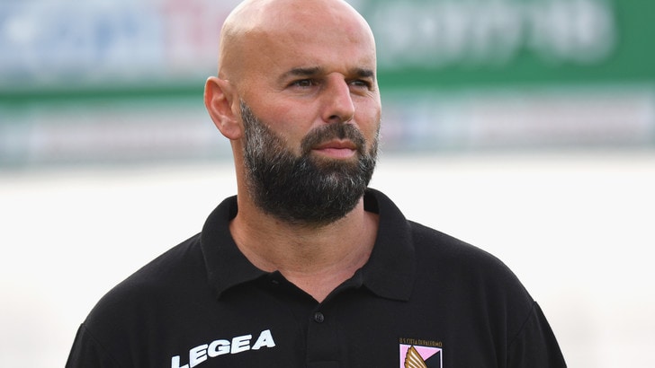 Serie B play off: Palermo, Stellone: «Fondamentale mantenere l'equilibrio contro il Frosinone»