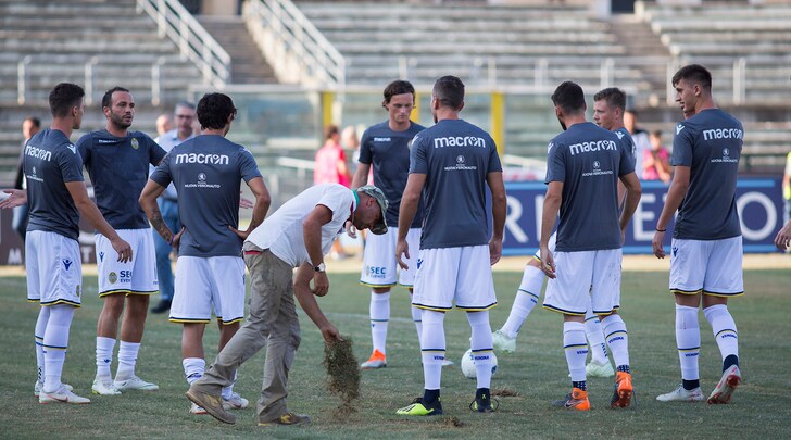 Serie B, il giudice sportivo: Cosenza-Verona 0-3