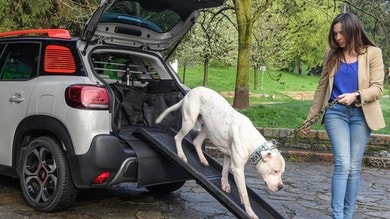 Best Event Awards, Citroën vince per il kit di accessori da viaggio per animali