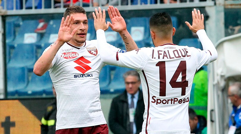 Poker alla Samp, parte la festa del Torino: tutti da Belotti!
