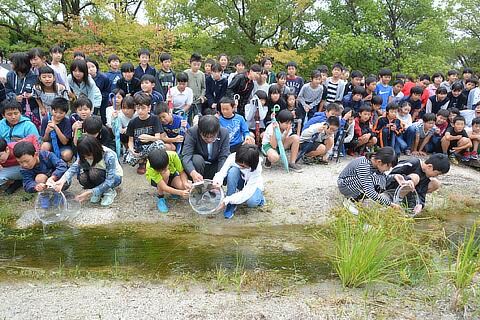 Toyota, una foresta nello stabilimento