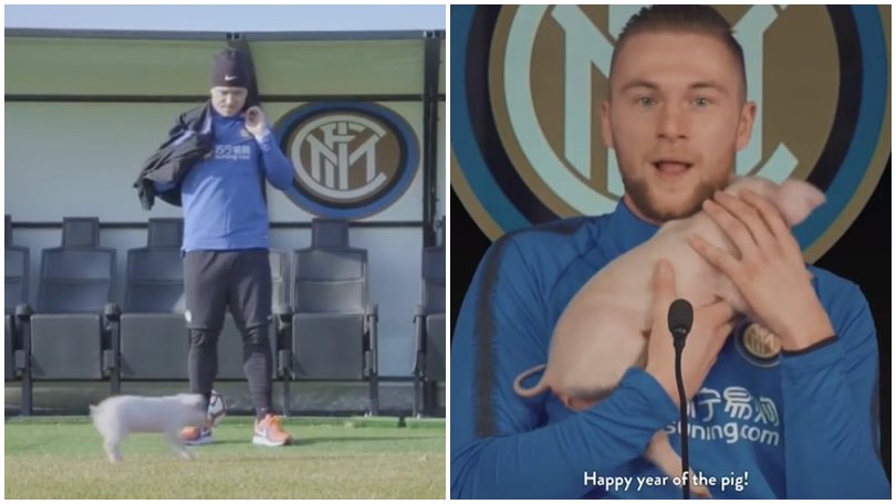 Inter, un maialino ad Appiano per l'anno cinese