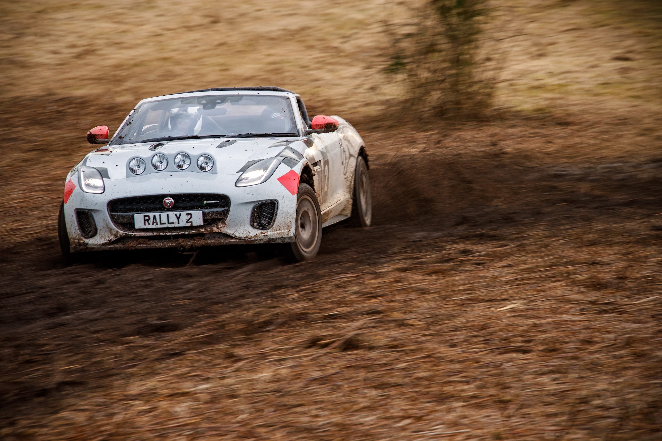 Jaguar F-Type Rally, la prova