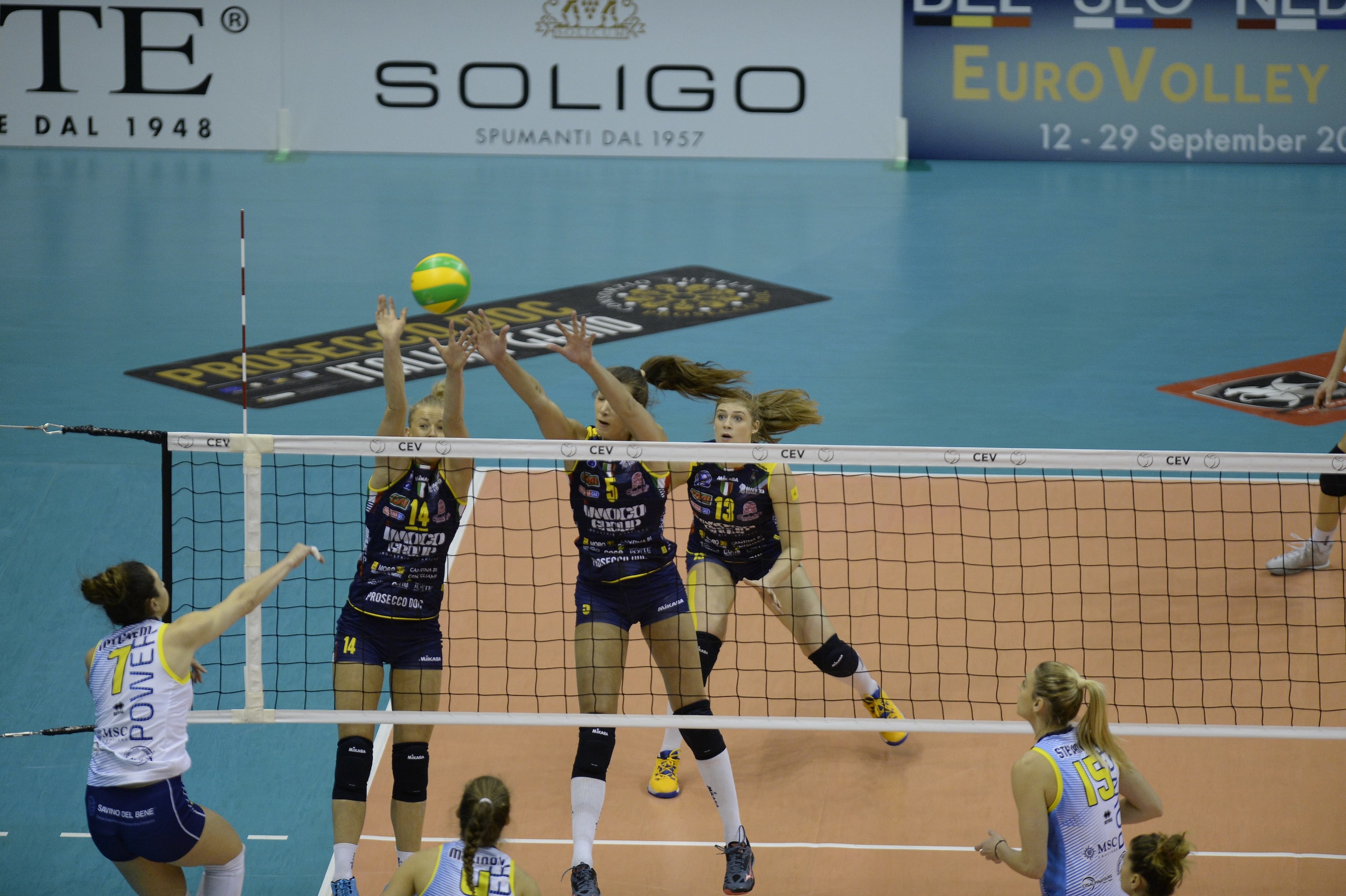 Volley: Champions Femminile, Novara a Lodz, Scandicci-Imoco vale la qualificazione