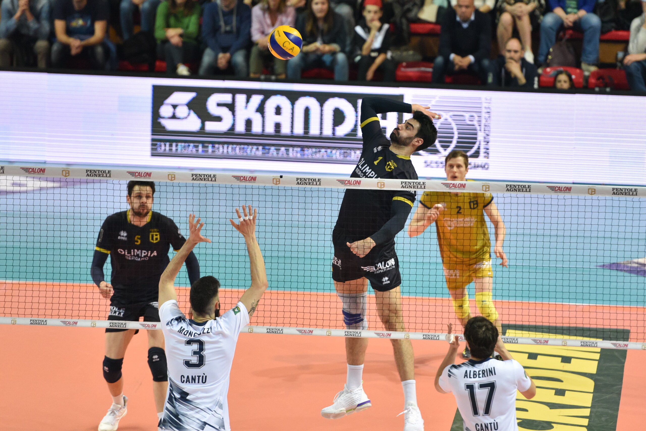 Volley: A2 Maschile, Bergamo sfiderà Piacenza per la Superlega
