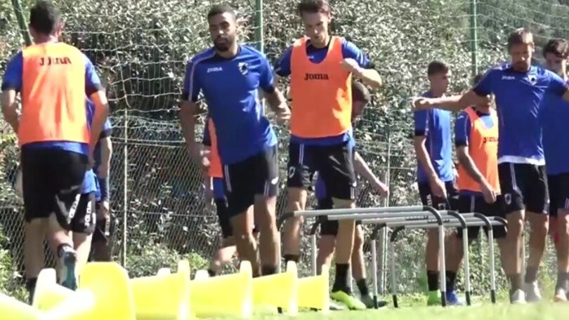 Sampdoria, fermate le trattative Ferrero-Vialli