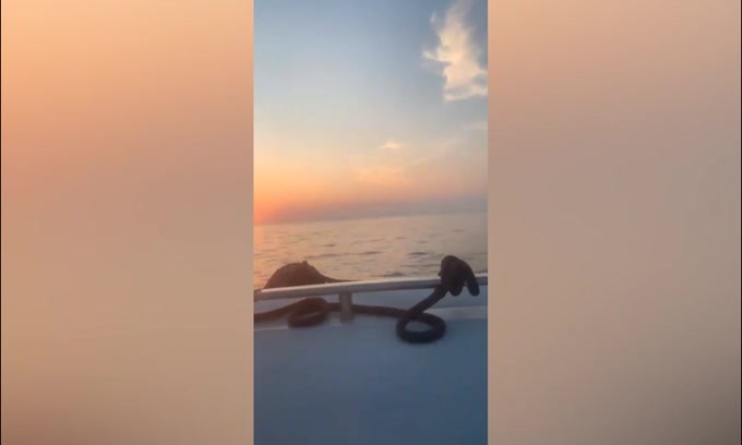 Balotelli in barca si allena in attesa di una chiamata