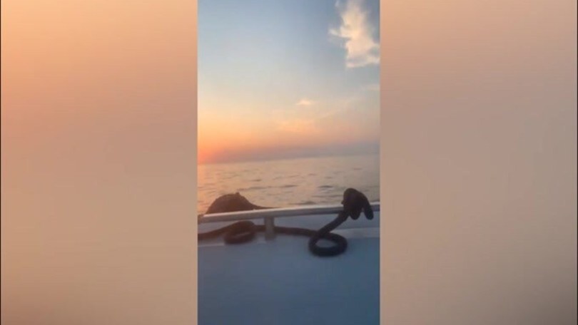 Balotelli in barca si allena in attesa di una chiamata