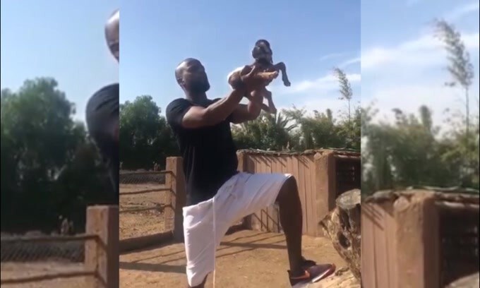 Evra incorona una capra "re" della Savana