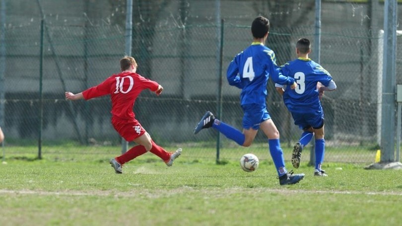 NUOVA STAGIONE / Ecco tutti i gironi dei campionati giovanili Regionali