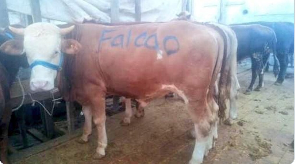 Falcao al Galatasaray, lo aspettano così: «Sei benedetto»