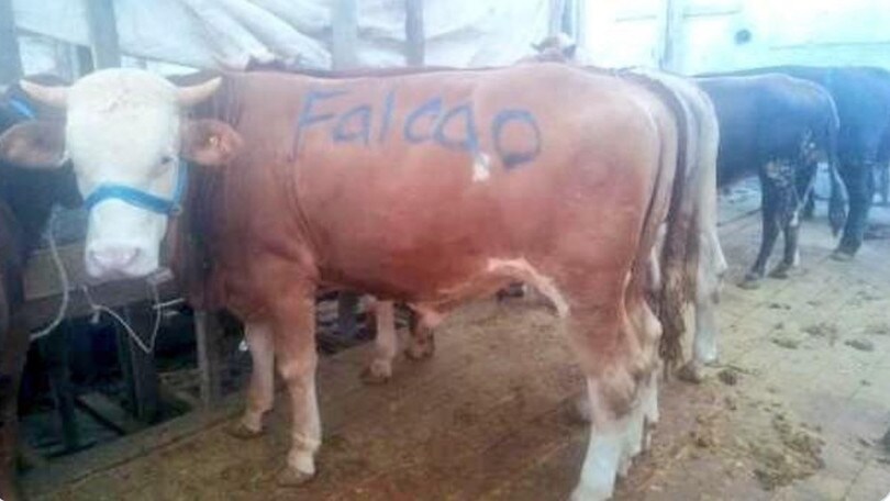 Falcao al Galatasaray, lo aspettano così: «Sei benedetto»