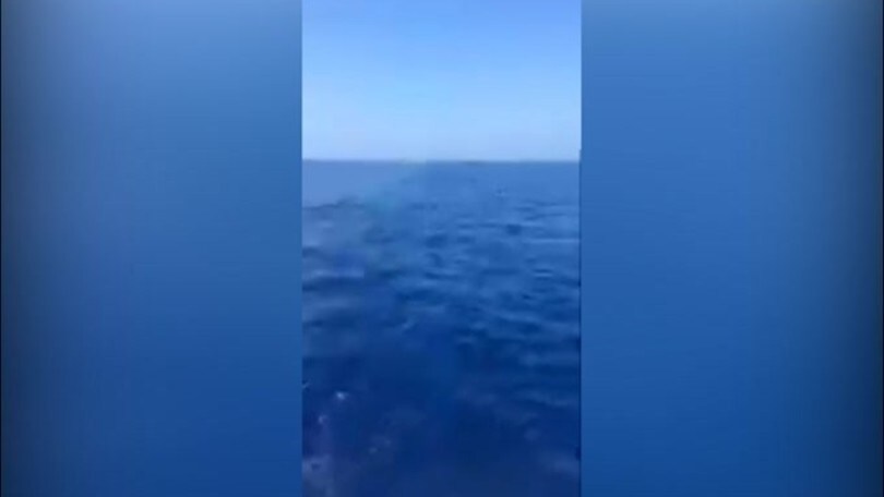 Venditti incontra il delfino "juventino"