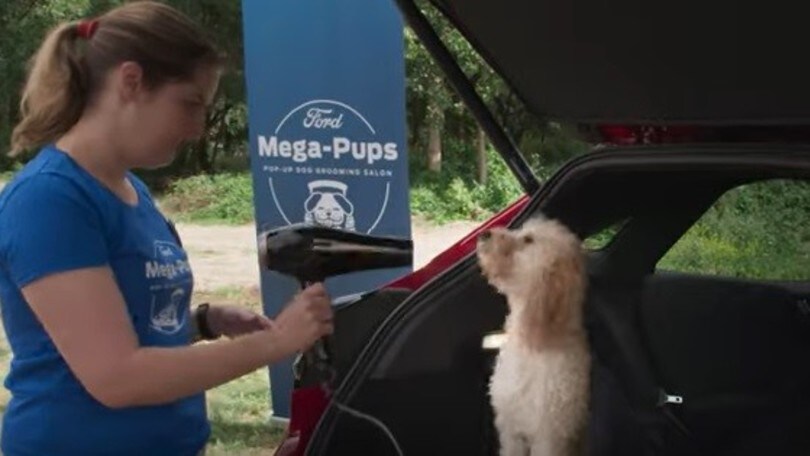 Ford Puma e il MegaBox: i cani impazziscono di gioia - IL VIDEO