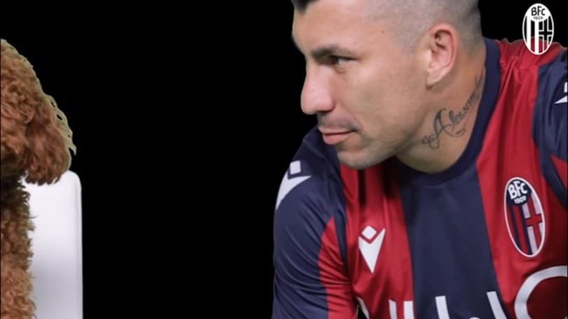 "Con il Pitbull non si scherza": il Bologna presenta Medel