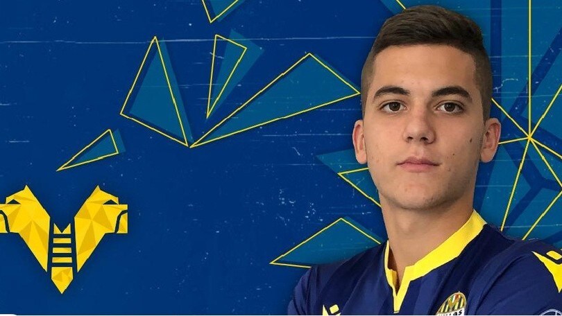 Verona, ufficiale: dalla Stella Rossa arriva Jocic