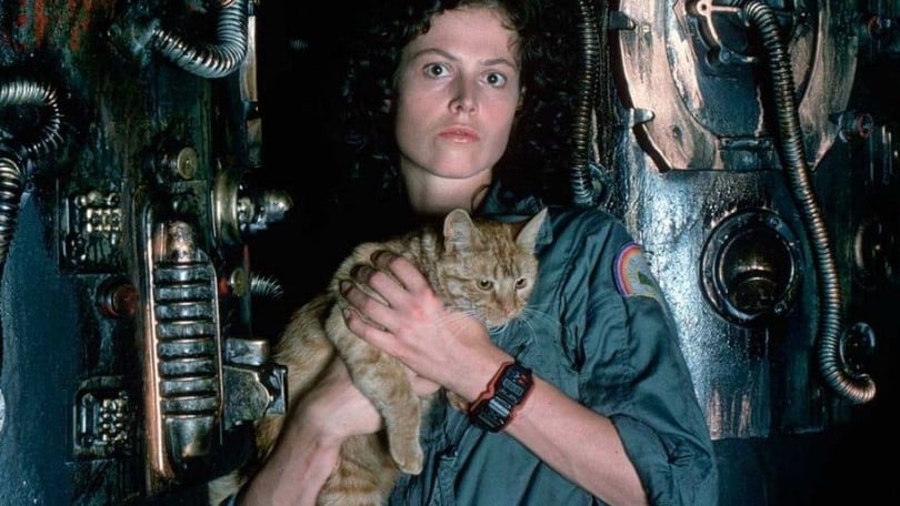 Alien: il Sedicicorto International Film Festival celebra i 40 anni