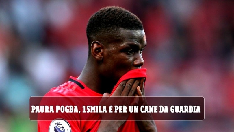 Paura Pogba, 15mila sterline per un cane da guardia