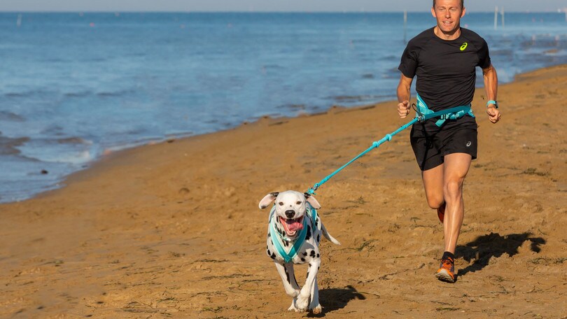 Novità: Dog and Run” a Bibione con Stefano Baldini: "Sport divertente"