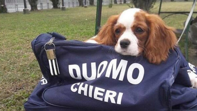 Il Duomo Chieri vola anche grazie alla sua nuova mascotte