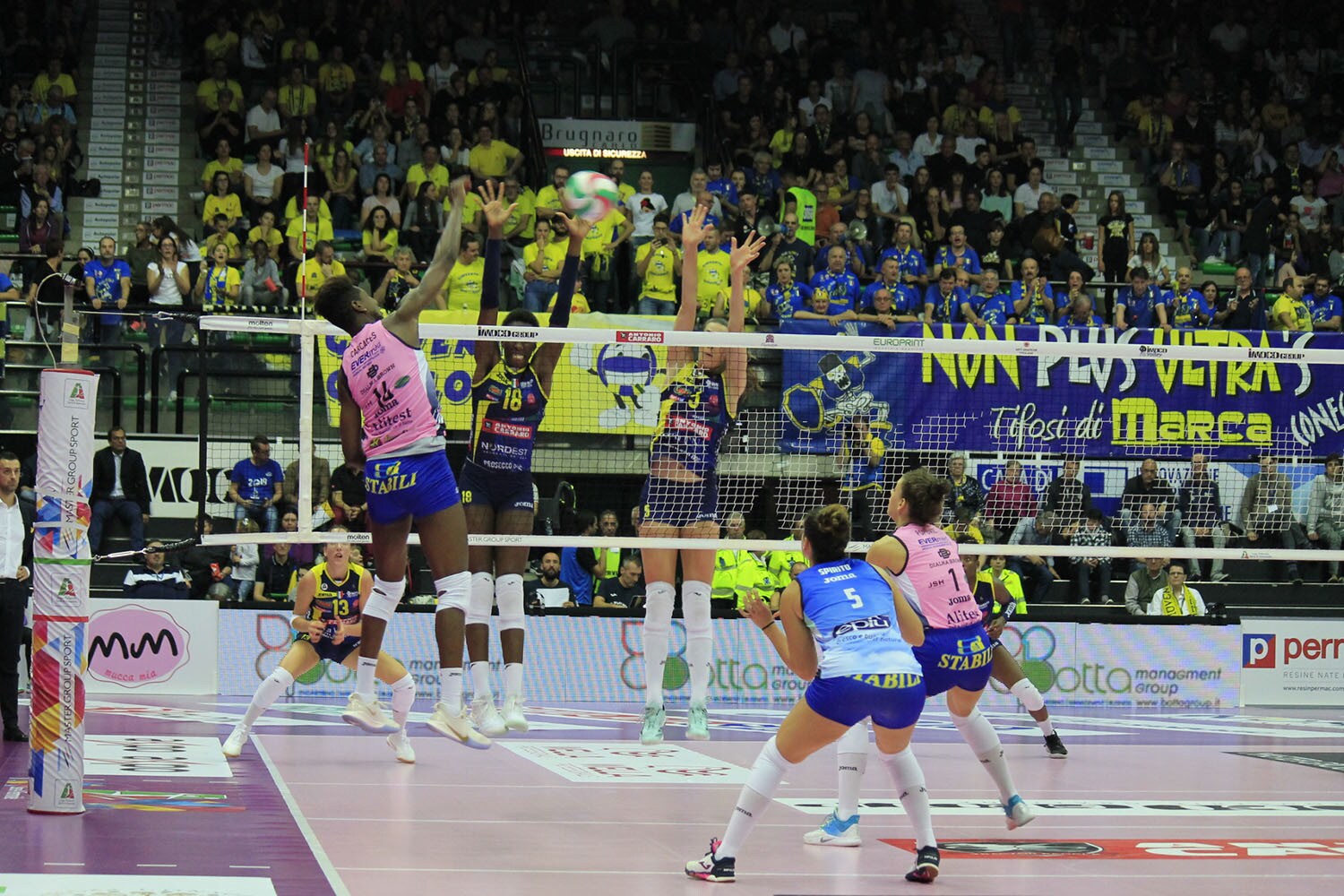 A1 Femminile, Conegliano vince ancora, bene le piemontesi