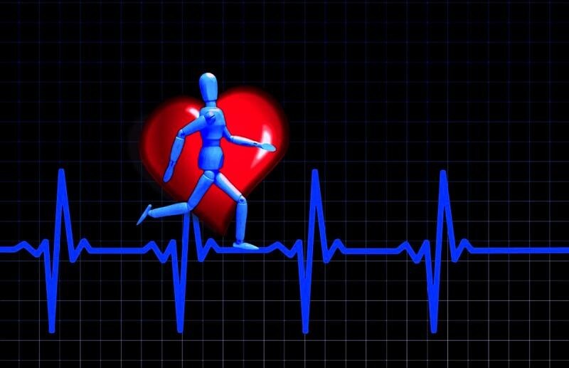Capacità e potenza lipidica, come allenarle per gestire le gare di endurance