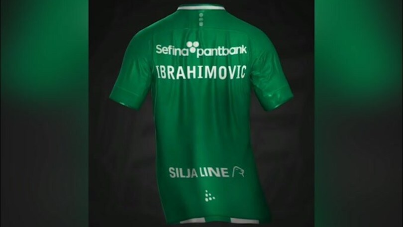 Ibra svela il suo futuro: c'è la Svezia