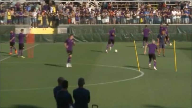 La Fiorentina punta Cutrone o Petagna