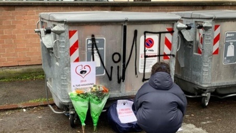 Cane ucciso a botte, a Modena manifestano in 300