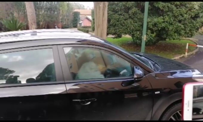 Visite mediche per Perez a Villa Stuart