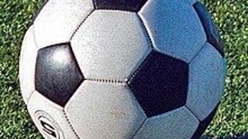 Allarme Coronavirus - Precisazioni sullo svolgimento delle attività sportive da parte di Regione Piemonte